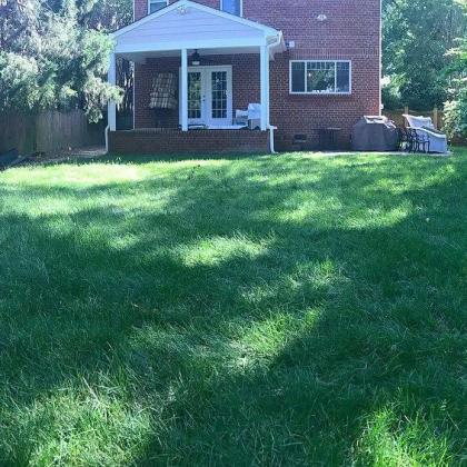 After Picture of Landscaping