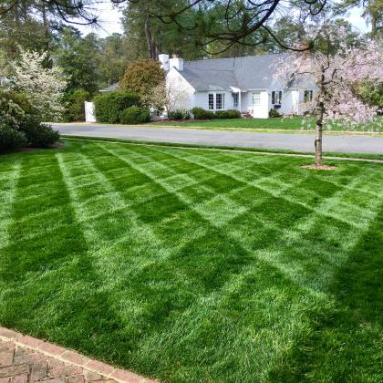 freshly cut striped lawn