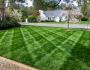 Freshly cut, striped yard 