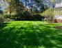 Peaceful freshly cut back yard 
