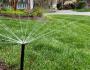 Irrigation head spraying water 