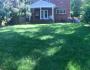 New grass popping up in yard weeks after planting tall fescue grass seed